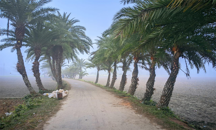 তীব্র শীত আর হিমেল বাতাসে ভোগান্তিতে কুড়িগ্রামবাসী 
