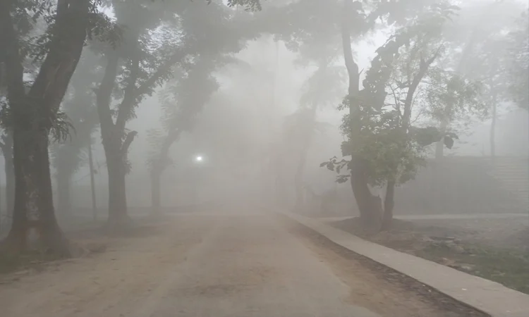 সুনামগঞ্জের হাওরাঞ্চলে শীতের তীব্রতায় চরম দুর্ভোগে জনজীবন