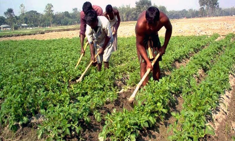আবহাওয়ার উল্লেখযোগ্য উন্নতি: উত্তরাঞ্চলের মানুষের জন্য স্বস্তি এসেছে