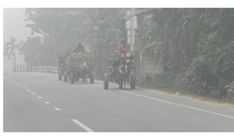কুড়িগ্রামে মৃদু শৈত্য প্রবাহে মানুষের ভোগান্তি