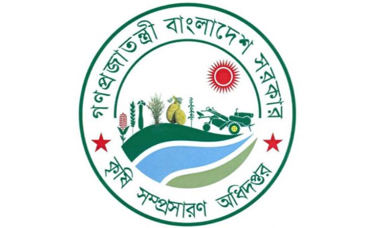 আলুর মড়ক রোগ দমনে কৃষকদের আগাম সতর্কবার্তা কৃষি সম্প্রসারণ অধিদপ্তরের