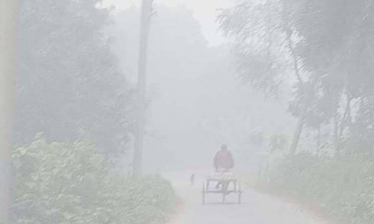 সিলেটে বইছে মৃদু শৈত্যপ্রবাহ, তাপমাত্রা ৯ দশমিক ৬