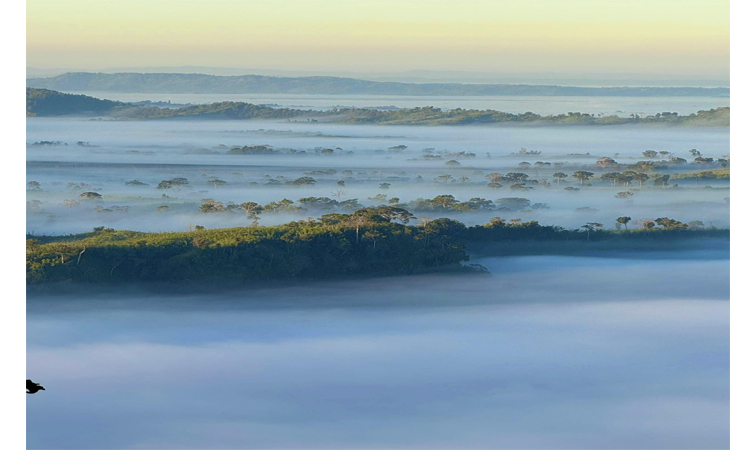 রাঙামাটি জেলার সবচেয়ে জনপ্রিয় এবং ব্যস্ততম পর্যটন স্পট সাজেক। ছবি : বাসস