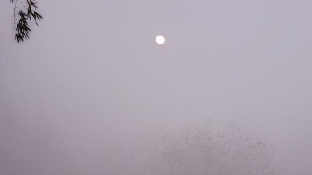 পঞ্চগড়ে বইছে মৃদু শৈত্যপ্রবাহ