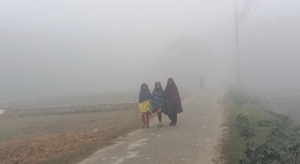 শেরপুরে মৃদু শৈত্যপ্রবাহে বিপর্যস্ত জনজীবন