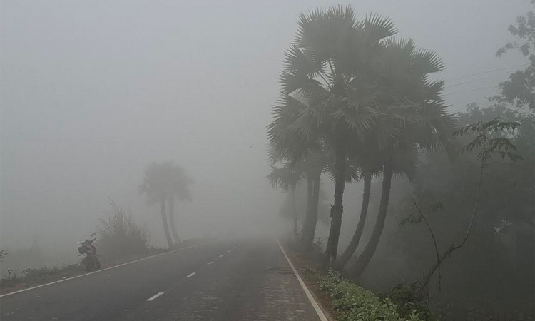 শৈত্যপ্রবাহের কবলে নওগাঁ, তাপমাত্রা ৯ ডিগ্রির ঘরে