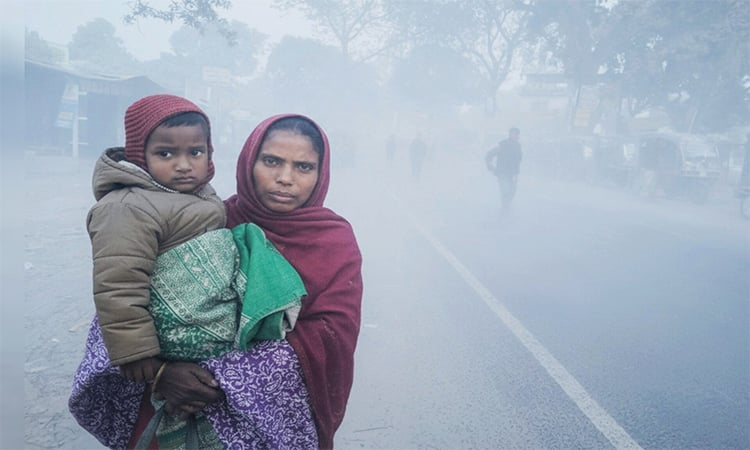 লালমনিরহাটে ১১ ডিগ্রিতে নামল তাপমাত্রা, কুয়াশায় স্থবির জীবনযাত্রা