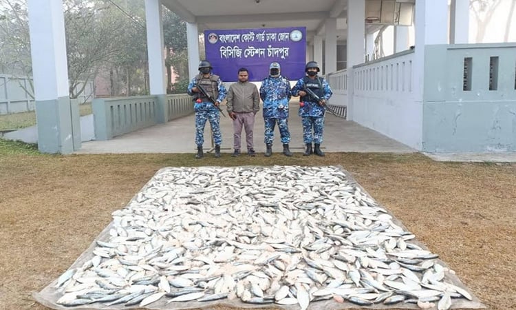 চাঁদপুর মাছঘাট থেকে পৌনে ৯ মণ জাটকা জব্দ