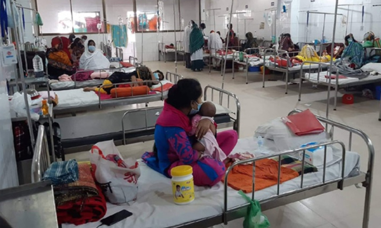 ছবি: বাসস