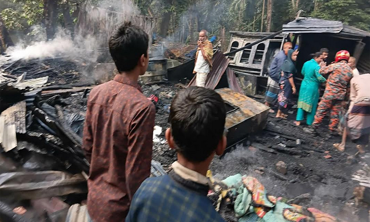 লক্ষ্মীপুরে অগ্নিকাণ্ডে শিশুর মৃত্যু, চার বসতঘর পুড়ে ছাঁই