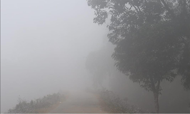 পঞ্চগড়ে ৭.৫ ডিগ্রি সেলসিয়াস তাপমাত্রায় বইছে মাঝারি শৈত্যপ্রবাহ