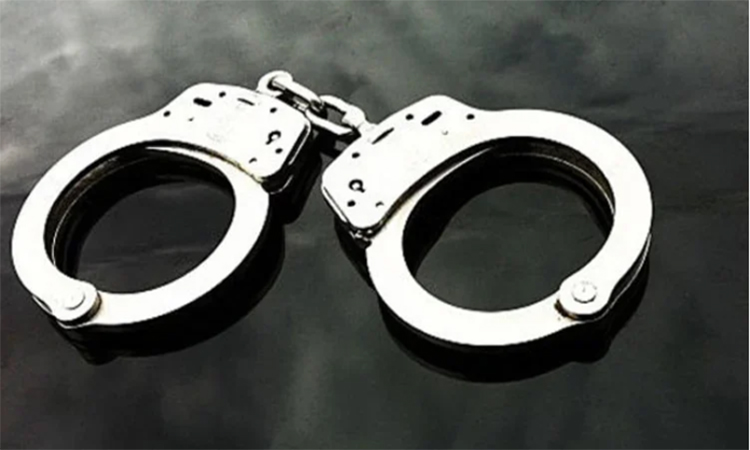 রূপনগরে বিভিন্ন অপরাধে জড়িত ১১ জন গ্রেফতার