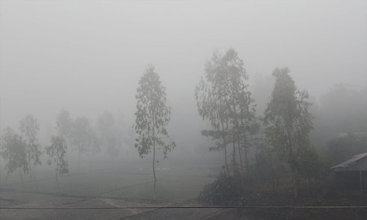 কুড়িগ্রামে মৃদু শৈত্যপ্রবাহ, দুর্ভোগে চরাঞ্চলের মানুষ