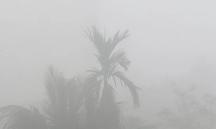 মৌসুমের সর্বনিম্ন তাপমাত্রা ৬.৭ ডিগ্রি সেলসিয়াসে নেমেছে