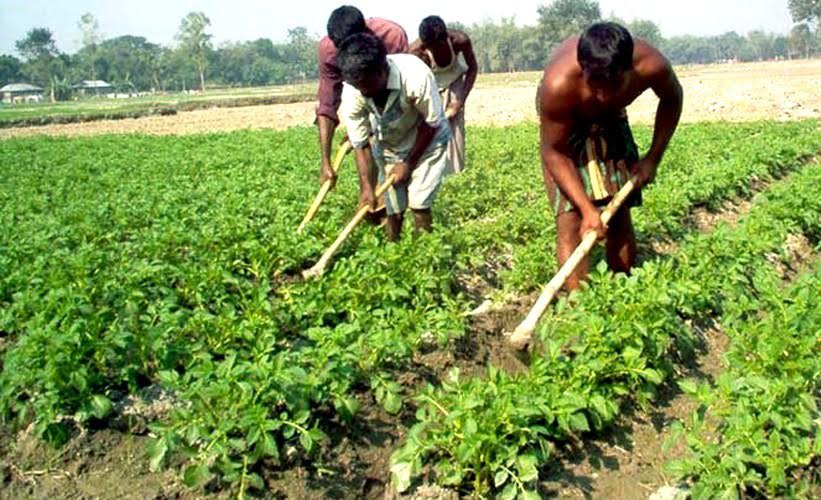 উত্তরাঞ্চলে তীব্র শীতের মধ্যেও রৌদ্রোজ্জ্বল আবহাওয়া, জনজীবনে স্বস্তি