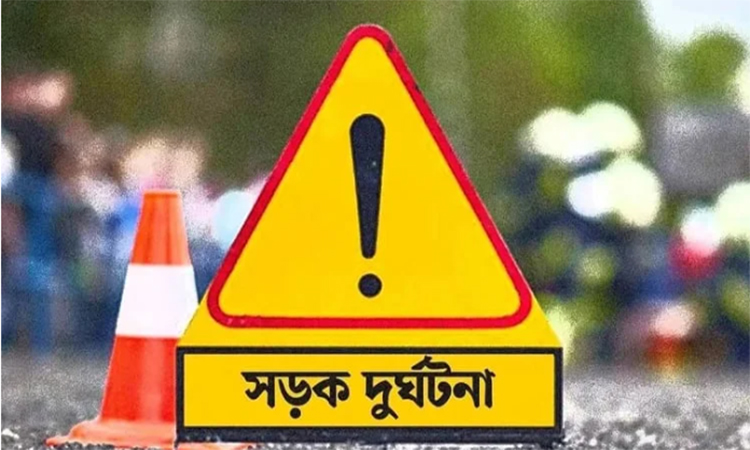 সাতক্ষীরায় সড়ক দুর্ঘটনায় স্বামী-স্ত্রী নিহত