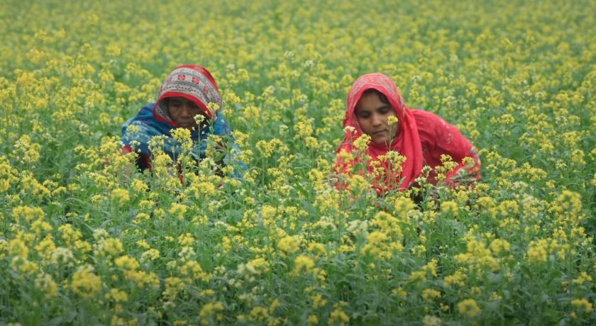 নারী ভোটারদের মধ্যে সচেতনতা বাড়াতে বিশেষ টিভিসি প্রকাশ