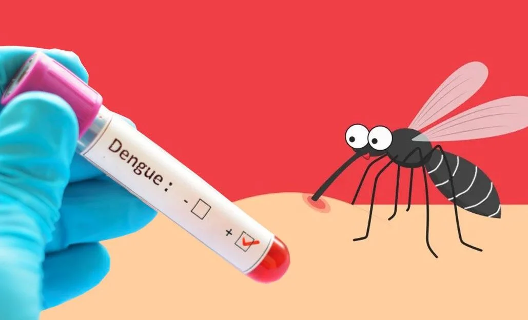 ডেঙ্গু আক্রান্ত হয়ে আরও ২৯ জন হাসপাতালে ভর্তি