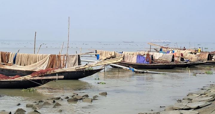 চাঁদপুরের মেঘনায় ক্ষতিকর জালে ধরা হচ্ছে ছোট প্রজাতির মাছ