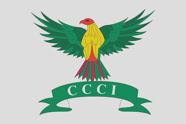 চট্টগ্রাম চেম্বারের নির্বাচন করতে প্রশাসকের চিঠি