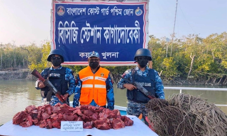 সুন্দরবনে ১শ কেজি হরিণের মাংস সহ হরিণ শিকারের ফাঁদ জব্দ 