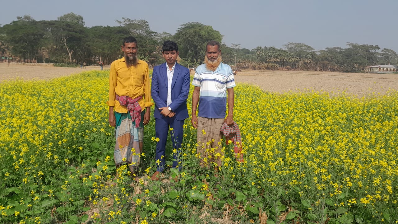 বরগুনায় সরিষার অধিক ফলনে কৃষকেরা খুশি