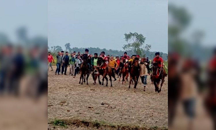 নড়াইলে ঐতিহ্যবাহী ঘোড়দৌড় দেখতে মানুষের ঢল