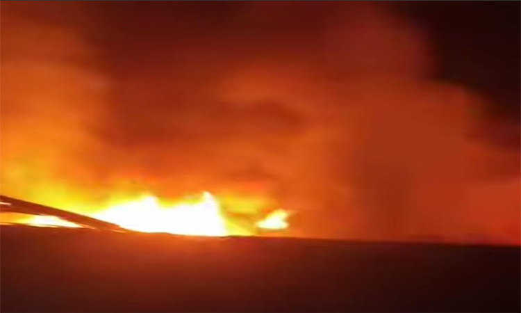 বোয়ালখালীতে আগ্নিকাণ্ডে ৩টি গরুসহ ৩ বসতঘর পুড়ে ছাই