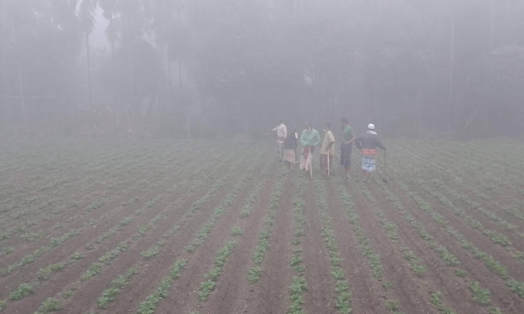 মৃদু শৈত্যপ্রবাহে কাবু কুড়িগ্রাম