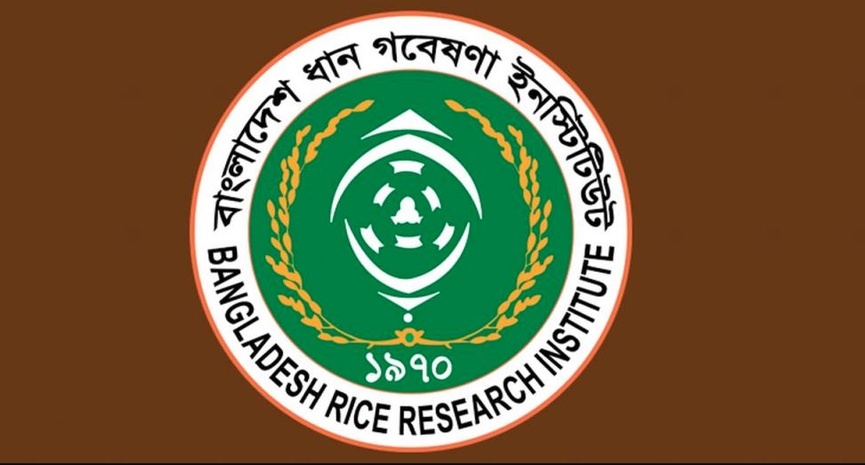 গাজীপুরে ব্রি-তে ৭ দিনব্যাপী কর্মশালার উদ্বোধন