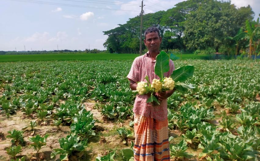রাজশাহীর চরাঞ্চলের কৃষি বাণিজ্যিকভাবে সাফল্য বয়ে আনছে 