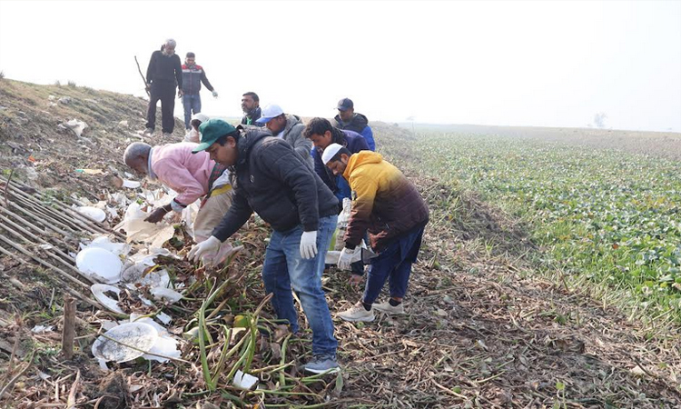 চলনবিলে প্লাস্টিক বর্জ্য পরিচ্ছন্নতা অভিযান