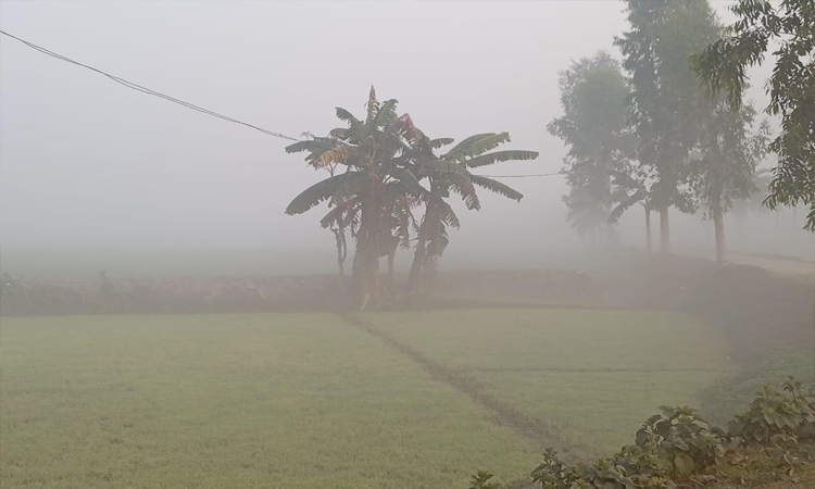 হিমেল বাতাসে কুড়িগ্রামের জনজীবন বিপর্যস্ত