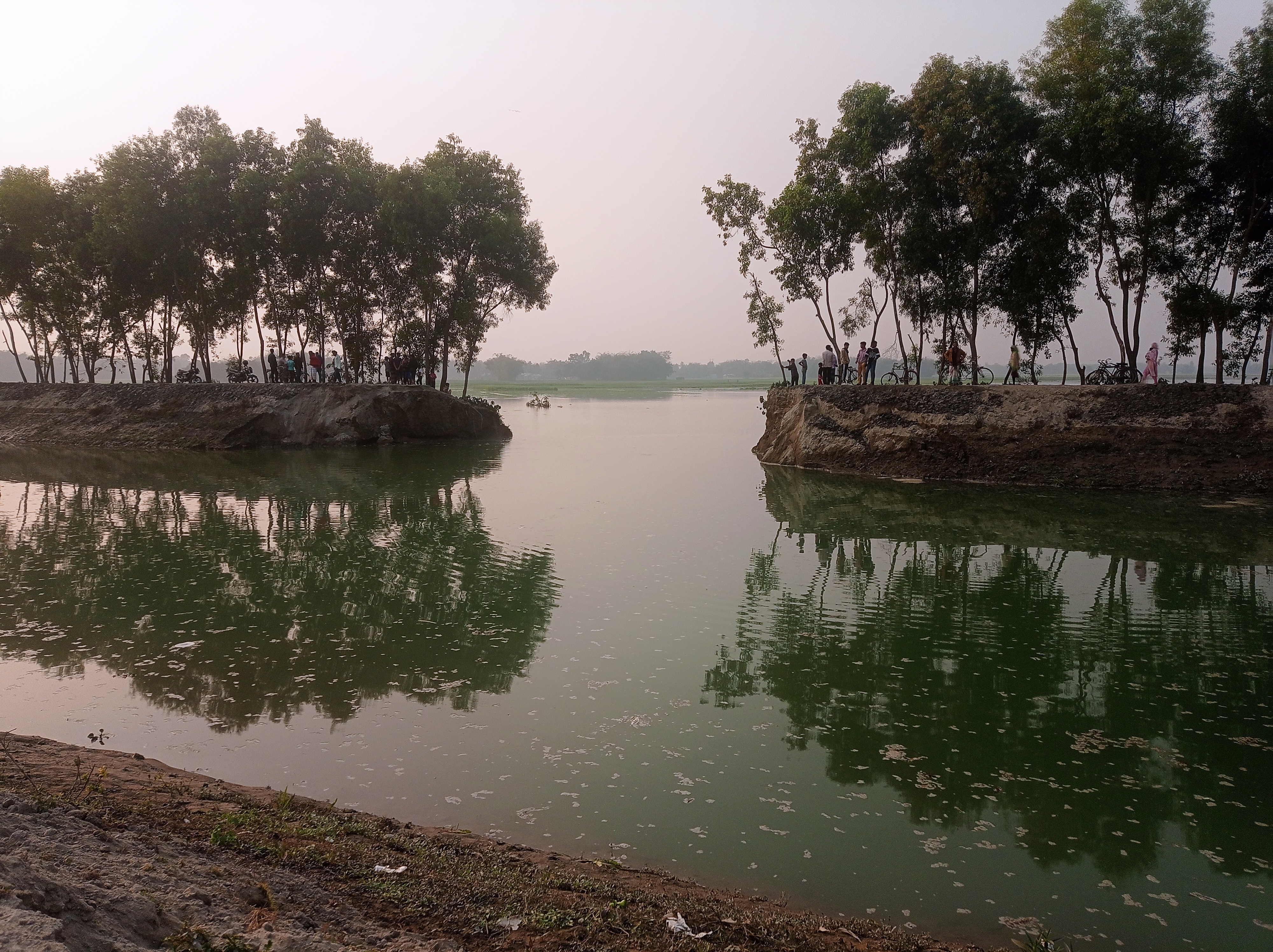 নীলফামারীতে তিস্তা সেচ খালের বাঁধ ভেঙে জমির ফসল নষ্ট