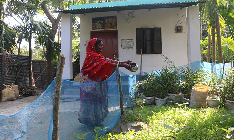 জলবায়ু সহিষ্ণু ঘর পেয়ে ভোলার তিনশত ছিন্নমূল পরিবারে সুখের আনন্দ
