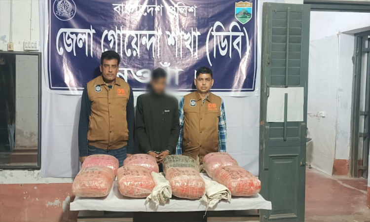নওগাঁয় সাড়ে ৪২ কেজি গাঁজাসহ যুবক গ্রেপ্তার