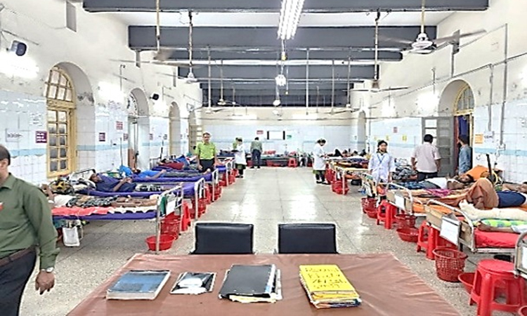 ছবি: বাসস