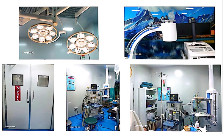 ছবি: বাসস