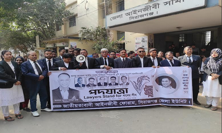 সিরাজগঞ্জে আইনজীবী ফোরামের পদযাত্রা ও ধানের শীষের মিছিল