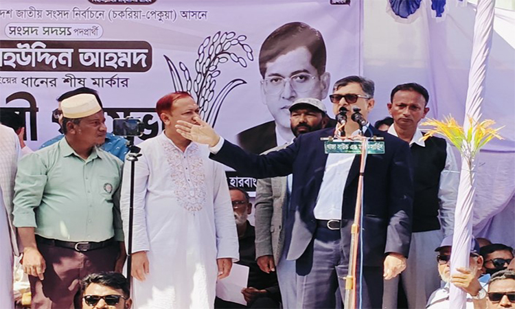 নির্বাচনকে প্রশ্নবিদ্ধ করতে উত্তেজনা সৃষ্টি করা হচ্ছে : সালাহউদ্দিন আহমদ