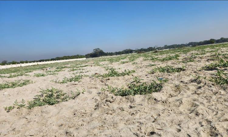 ৩০০ কোটি টাকার হাজী শরীয়তুল্লাহ তাঁতপল্লি এখন বিরানভূমি 