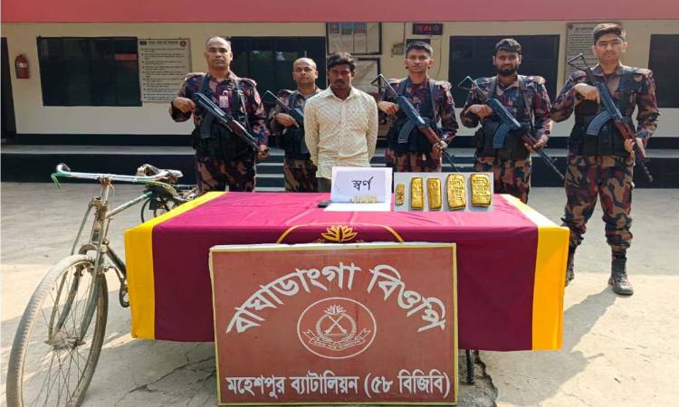 ঝিনাইদহে ৫টি স্বর্ণের বার সহ আটক ১ 