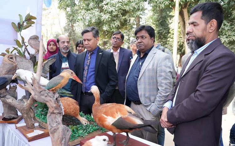 রাবিতে দিনব্যাপী পাখি মেলা অনুষ্ঠিত