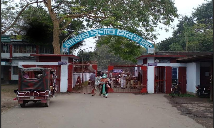 নাটোর চিনিকলে ৫ হাজার ২৮৬ টন চিনি উৎপাদিত 