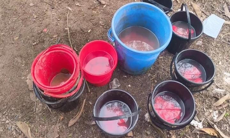 শরীয়তপুরের নড়িয়ায় ৯৫ টি ককটেল উদ্ধার ,আটক ৩ 