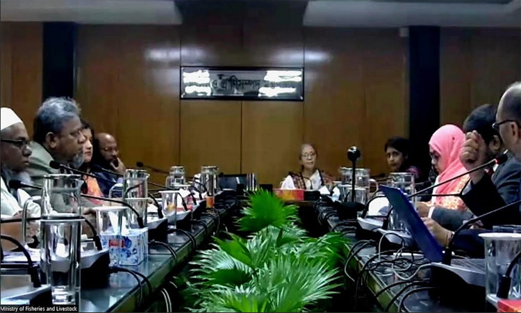 ইনডোর ও কৃত্রিম পদ্ধতিতে ইলিশ চাষে সরকারের কোনো অনুমোদন নেই