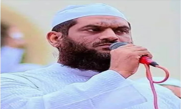 ঢাকা-১৩ আসনে মামুনুল হকের নির্বাচনী সমাবেশ ৯ ফেব্রুয়ারি