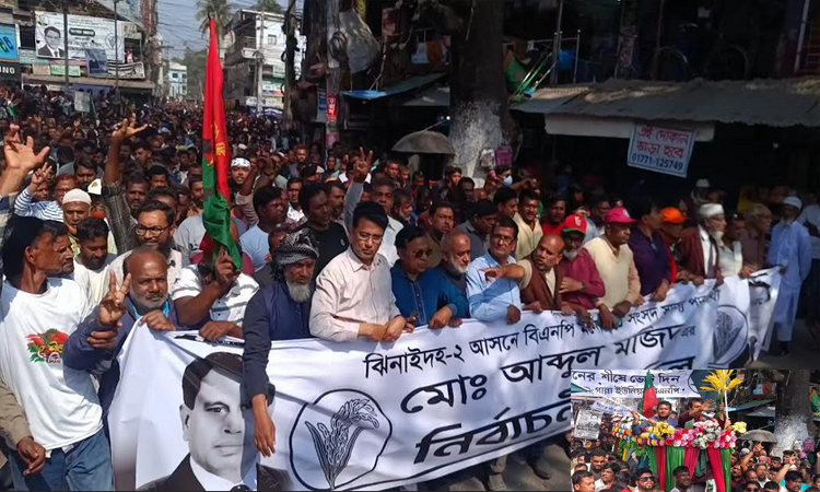 ঝিনাইদহে বিএনপির নির্বাচনী প্রচারণা 