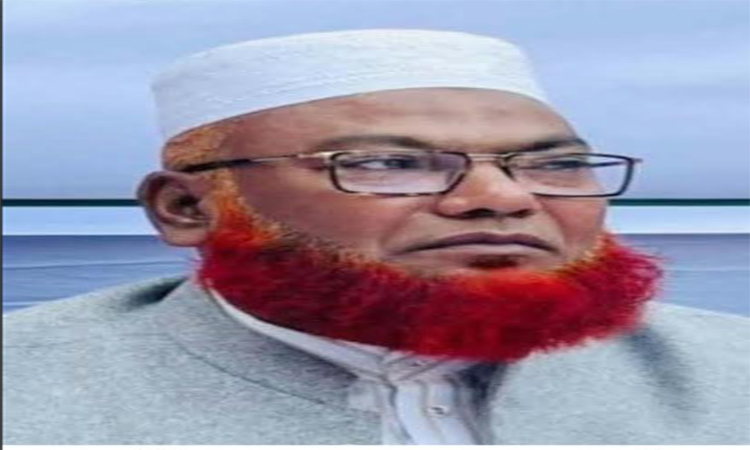 এই বিজয় এলাকার সর্বস্তরের মানুষের বিজয়: তাজউদ্দীন খান