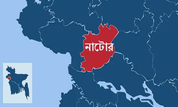 নাটোরে জামানত হারাচ্ছেন ১৮ প্রার্থী